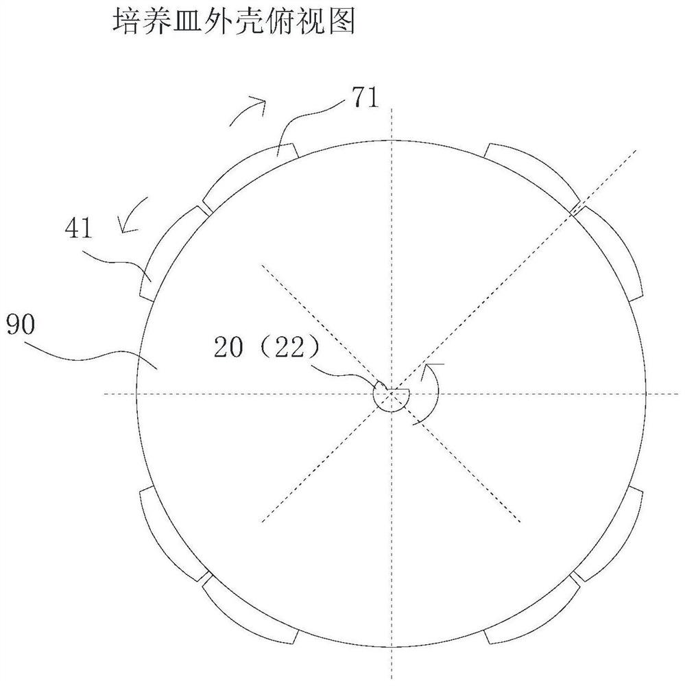 Spruce seed surface sterilization method and culture dish for sterilization