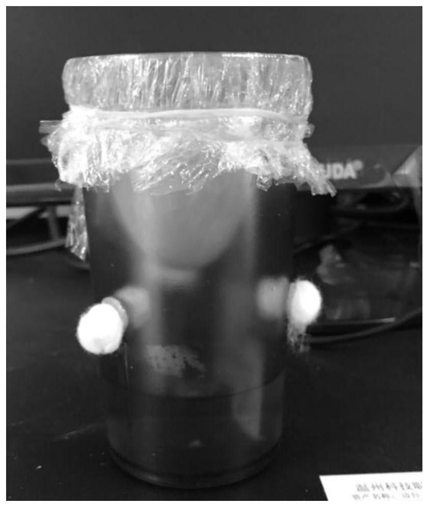 A hatching method for observable transferred chicken embryos