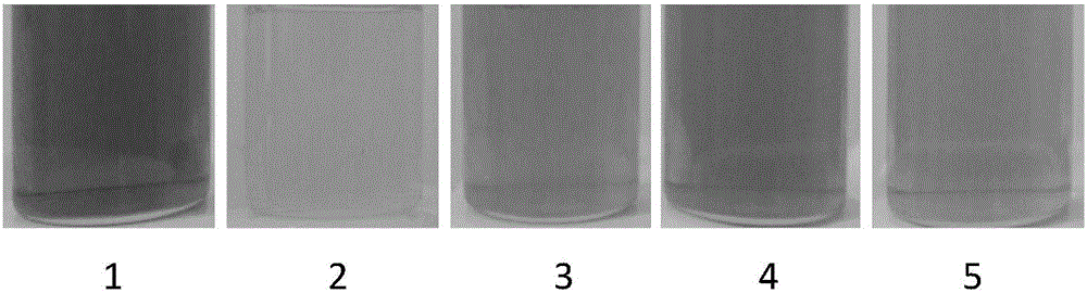 Inclusion compound for improving photostability of chromoprotein and application of inclusion compound