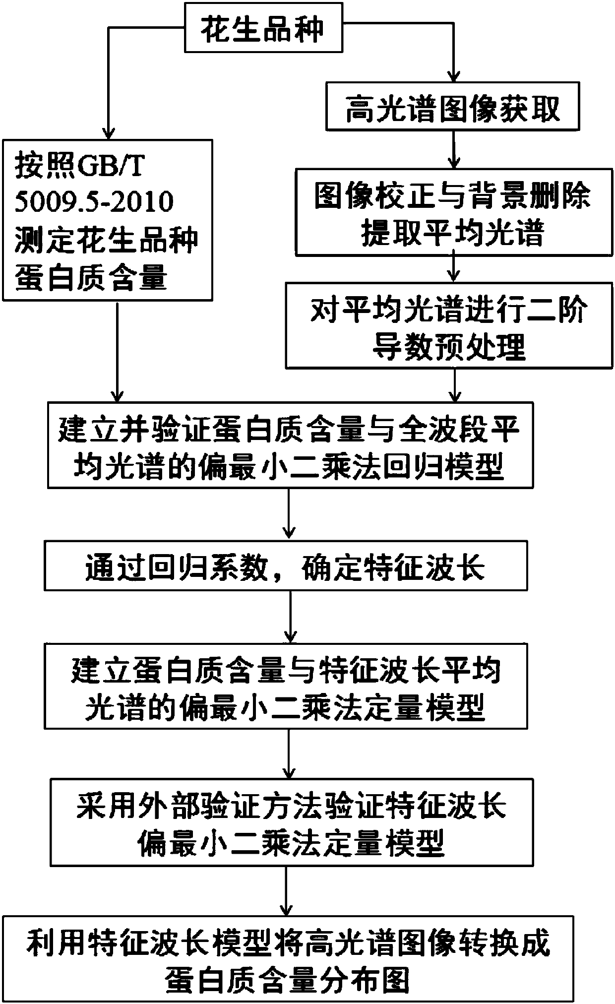 Method for detection of protein content distribution in peanut based on hyperspectral imaging technology