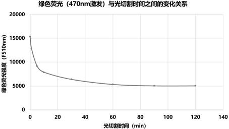 Light cleavable protein mutant with high light cleavage efficiency and application thereof