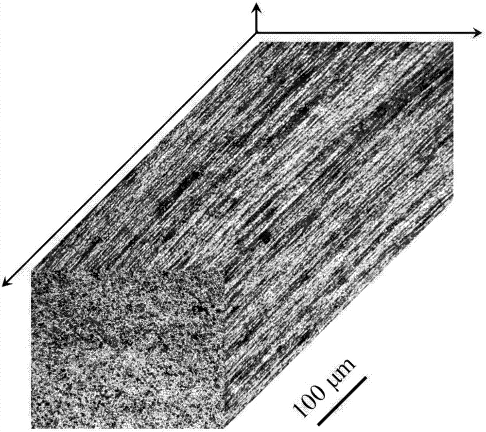 High strength and toughness filiform crystal grain pure titanium and preparation method thereof