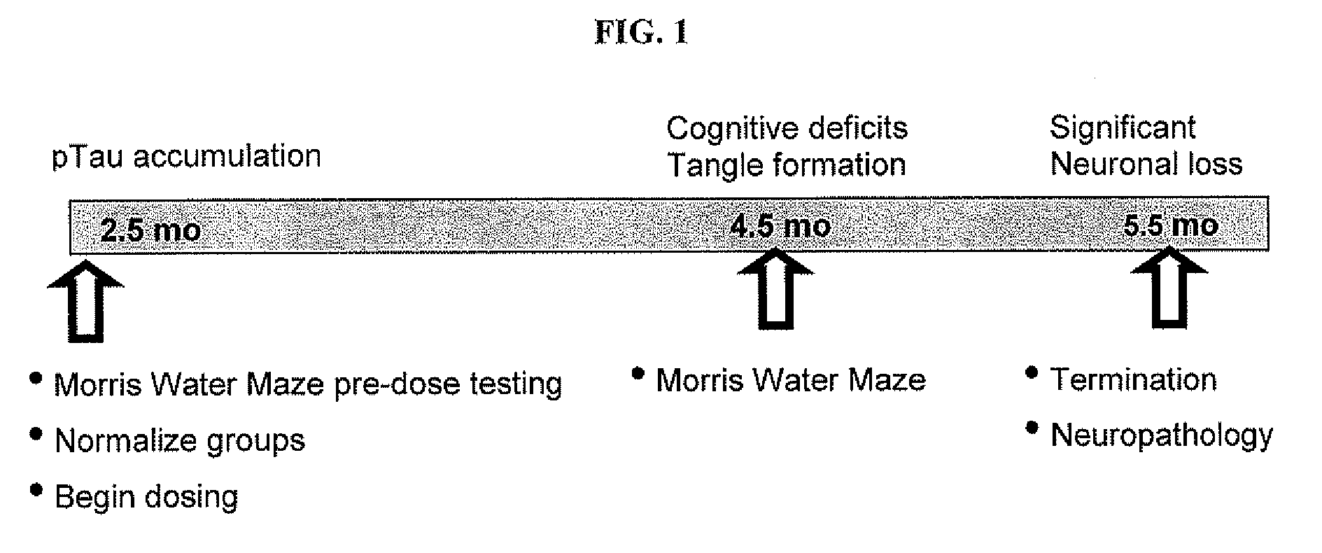 Use of epothilone d in treating tau-associated diseases including alzheimer's disease