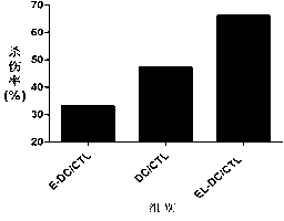 Extraction method and application of tumor exosome vaccine