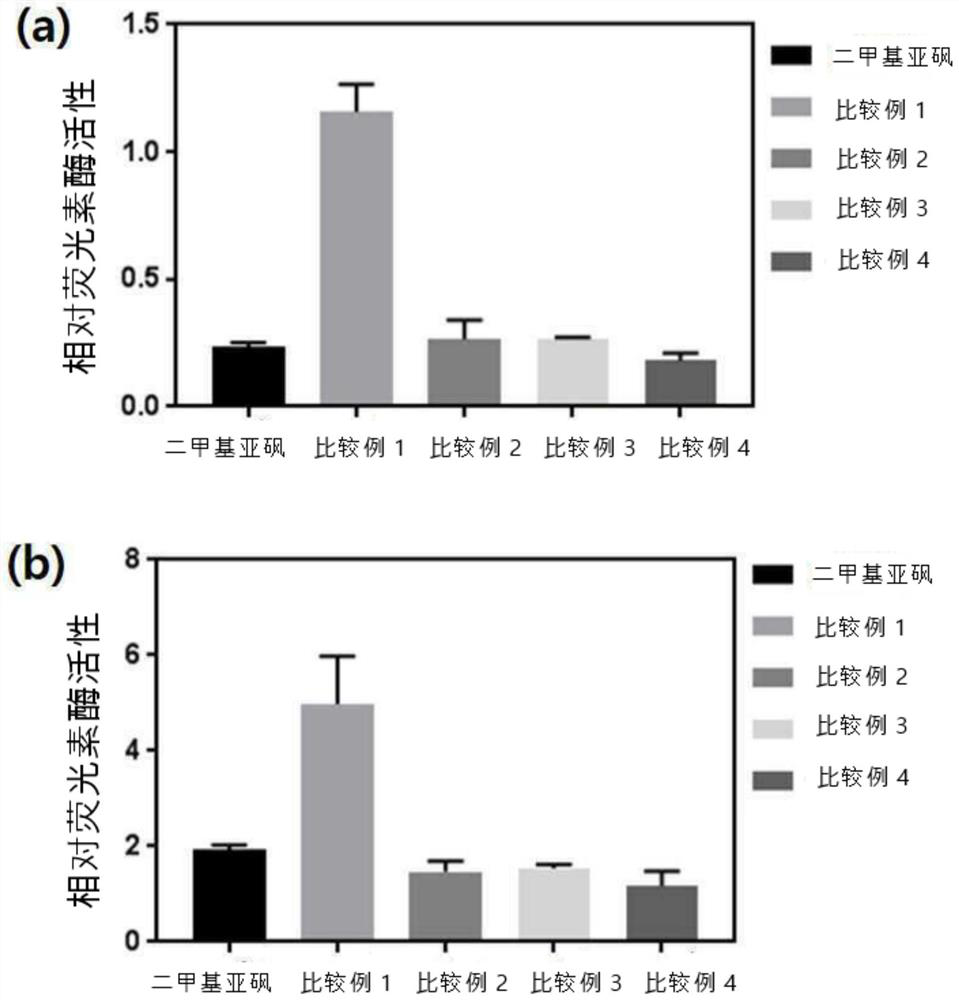 Compound for inducing expression of anti-aging gene KLOTHO and application thereof