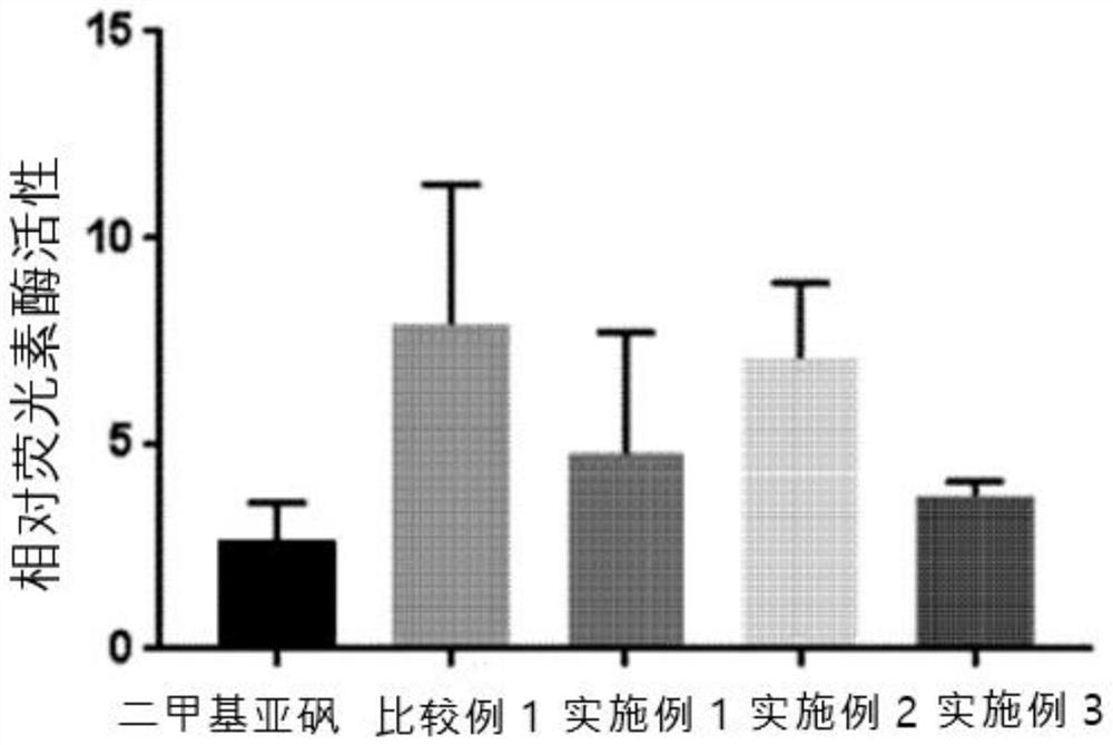 Compound for inducing expression of anti-aging gene KLOTHO and application thereof