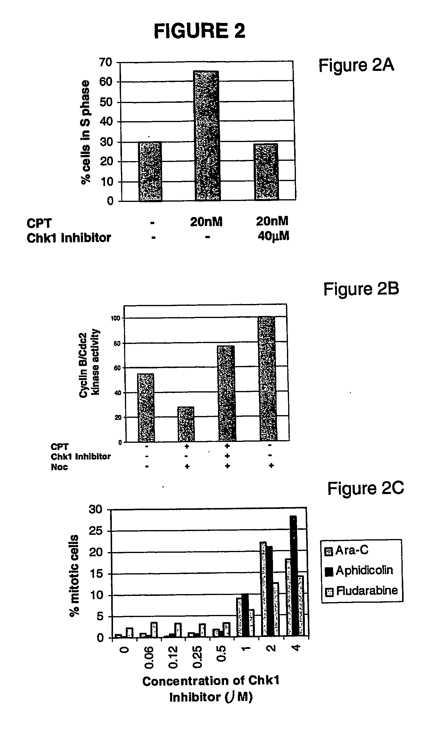 Use of chk1 inhibitors to control cell proliferation