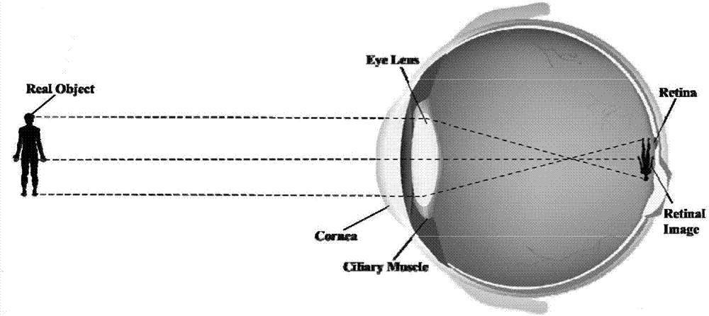 Eyesight protection method and device and VR glasses with a function of protecting eyesight
