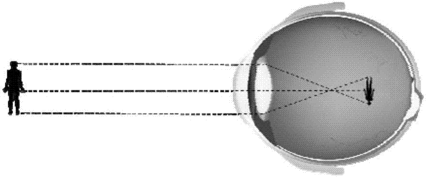 Eyesight protection method and device and VR glasses with a function of protecting eyesight