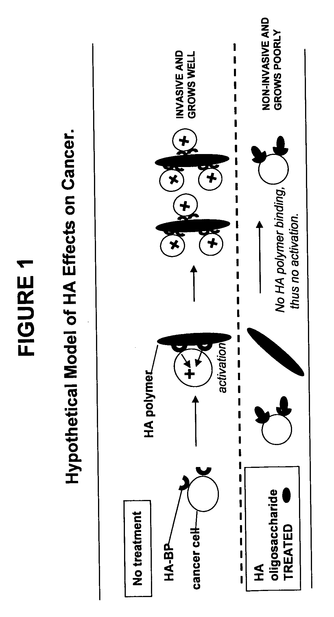 Methods of selectively treating diseases with specific glycosaminoglycan polymers