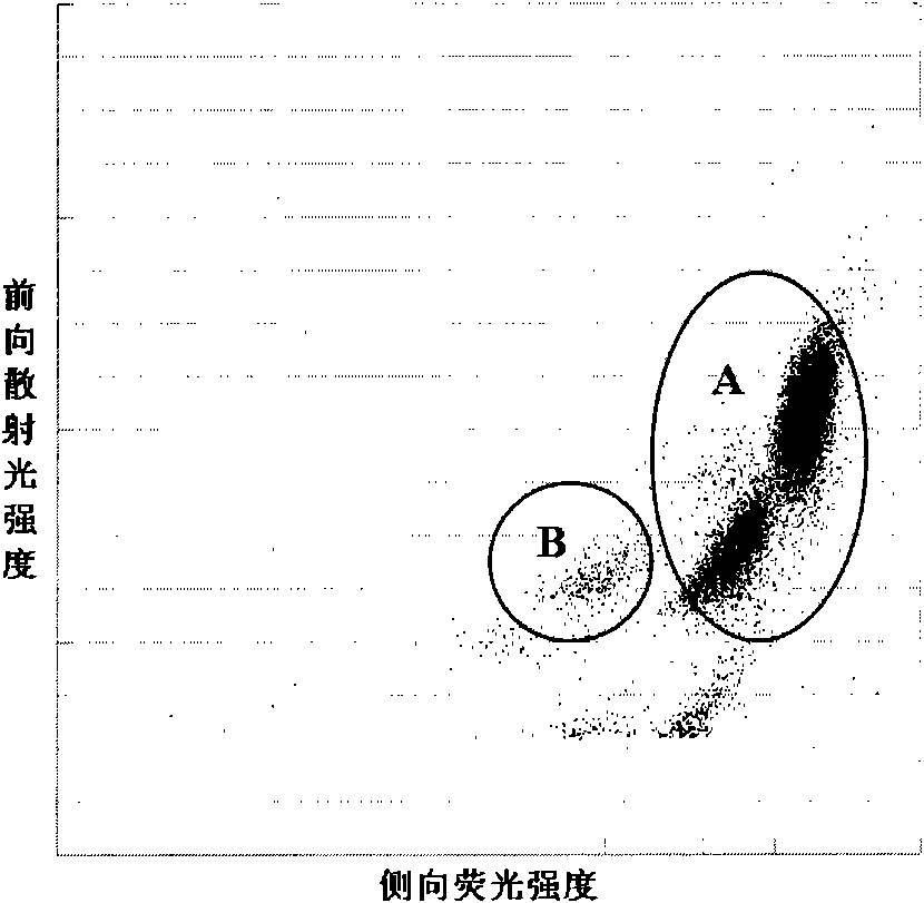 Nucleated red blood cell simulation particle and blood quality control substance and preparation methods and application thereof
