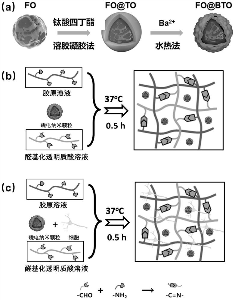 Magnetoelectric response biomimetic hydrogel and adjustable cell electrical microenvironment magnetoelectric response biomimetic hydrogel and preparation method thereof