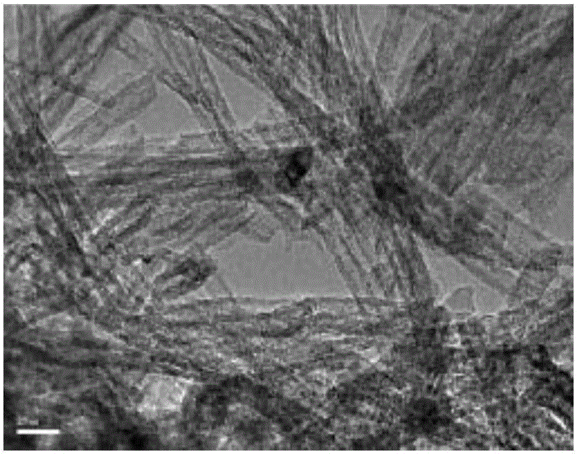 Preparation method of high temperature stable titanium dioxide nanotube powder