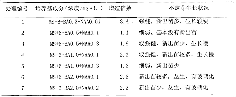 Culture medium for culturing lilium pumilum tissues