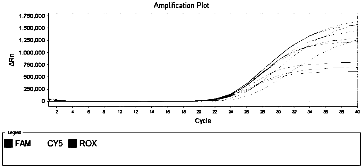 Detection kit for simultaneously detecting nine respiratory tract viruses including SARS-CoV-2