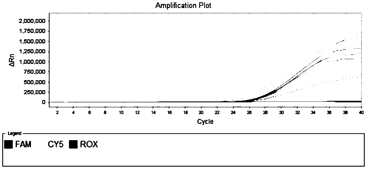 Detection kit for simultaneously detecting nine respiratory tract viruses including SARS-CoV-2