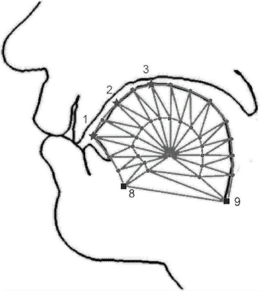 Mesh Animation Generation Method for Pronunciation Organs