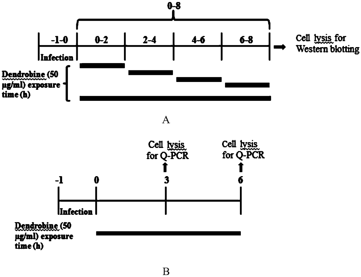 Application of dendrobine in the preparation of anti-influenza virus drugs