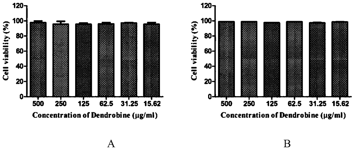 Application of dendrobine in the preparation of anti-influenza virus drugs