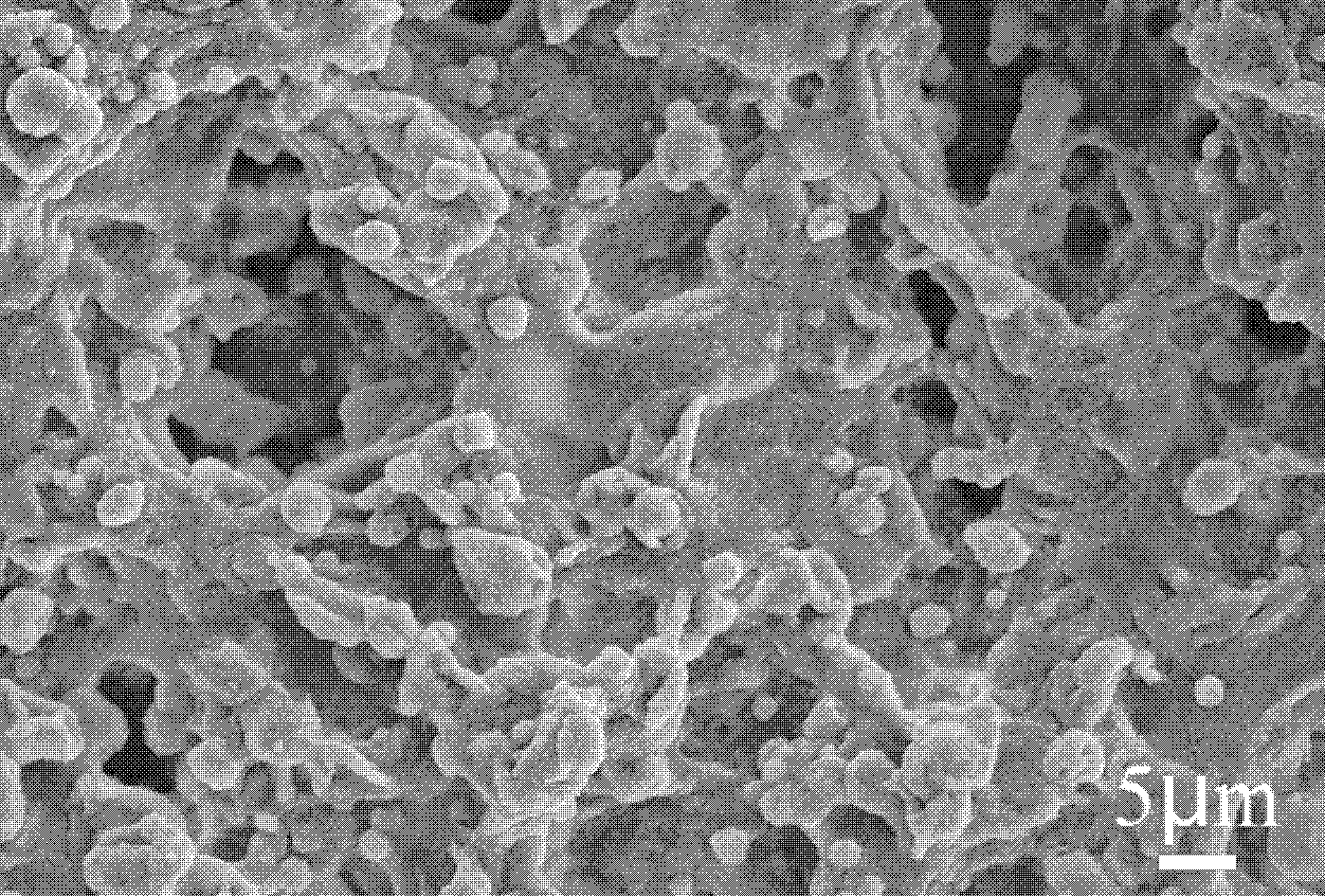 Super hydrophobic self-cleaning coating and preparation method thereof