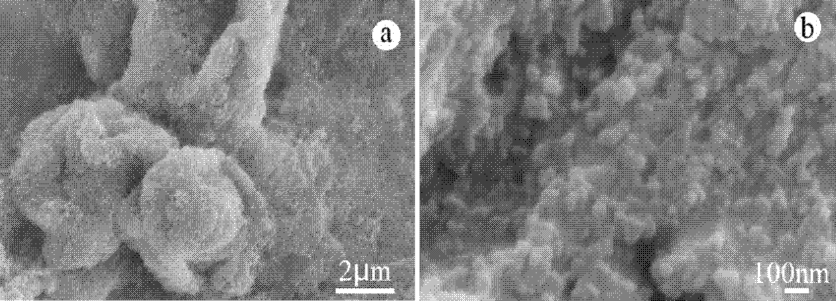 Super hydrophobic self-cleaning coating and preparation method thereof