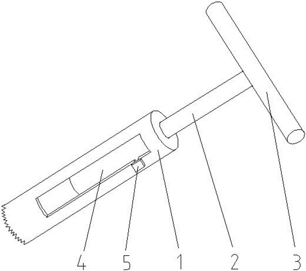 Hollow trephine provided with push rod
