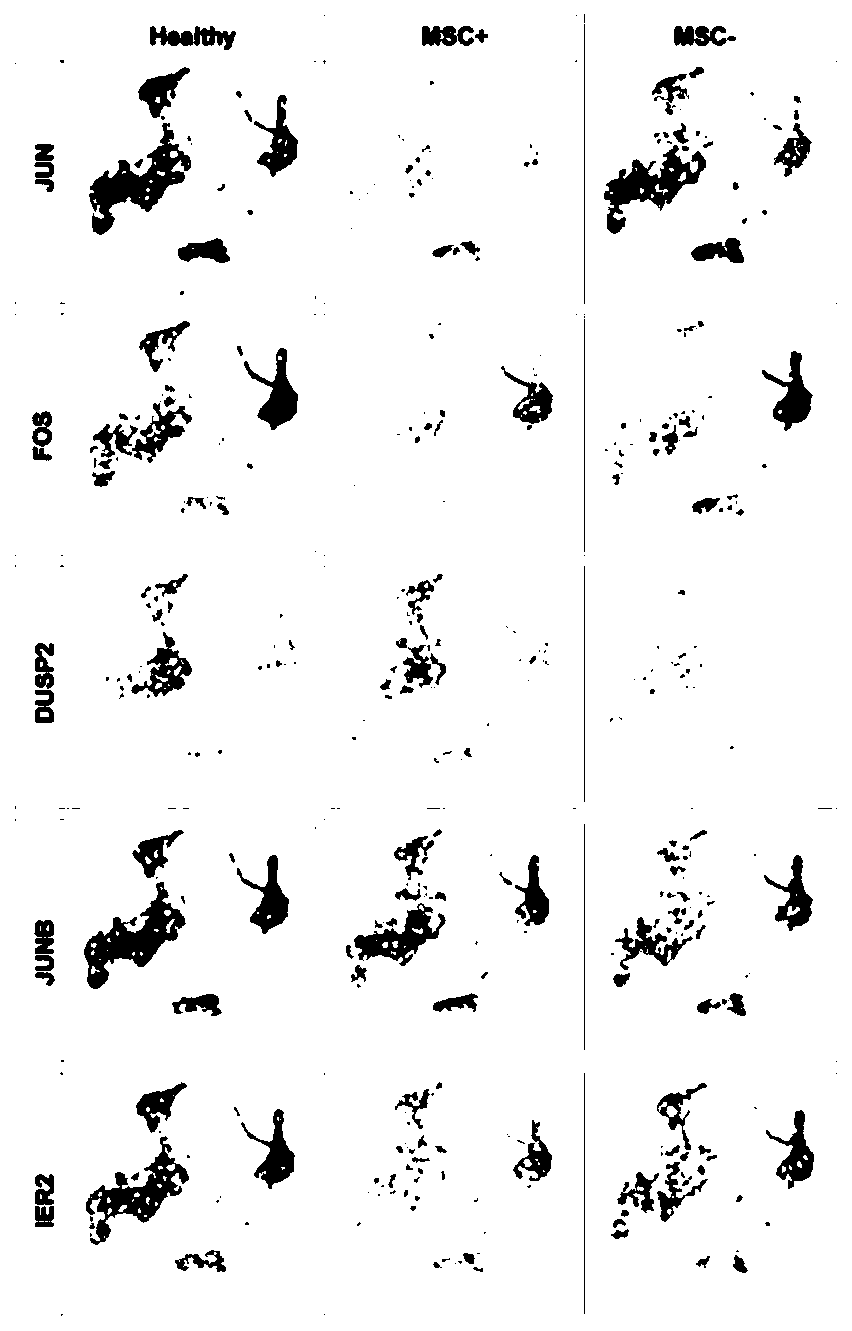 Application of MSC in reducing cytokine storm influence