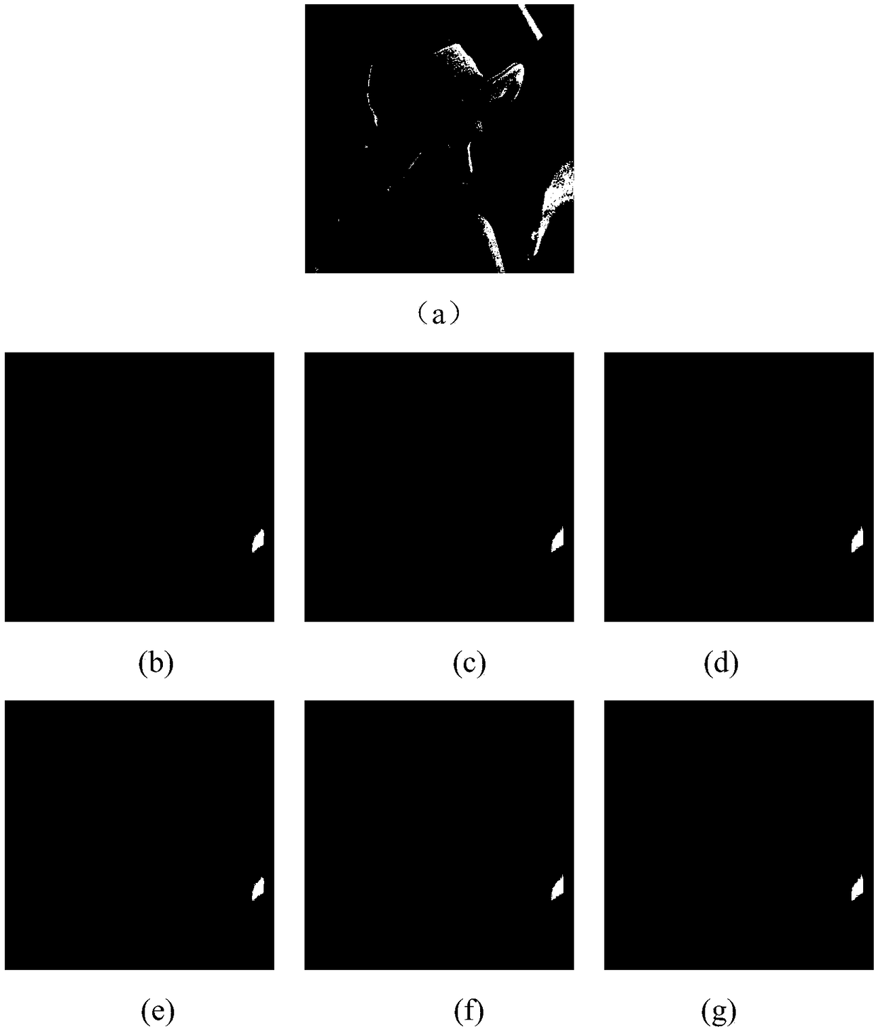 Spatially variable blurred image restoration based on TV and wavelet regularization