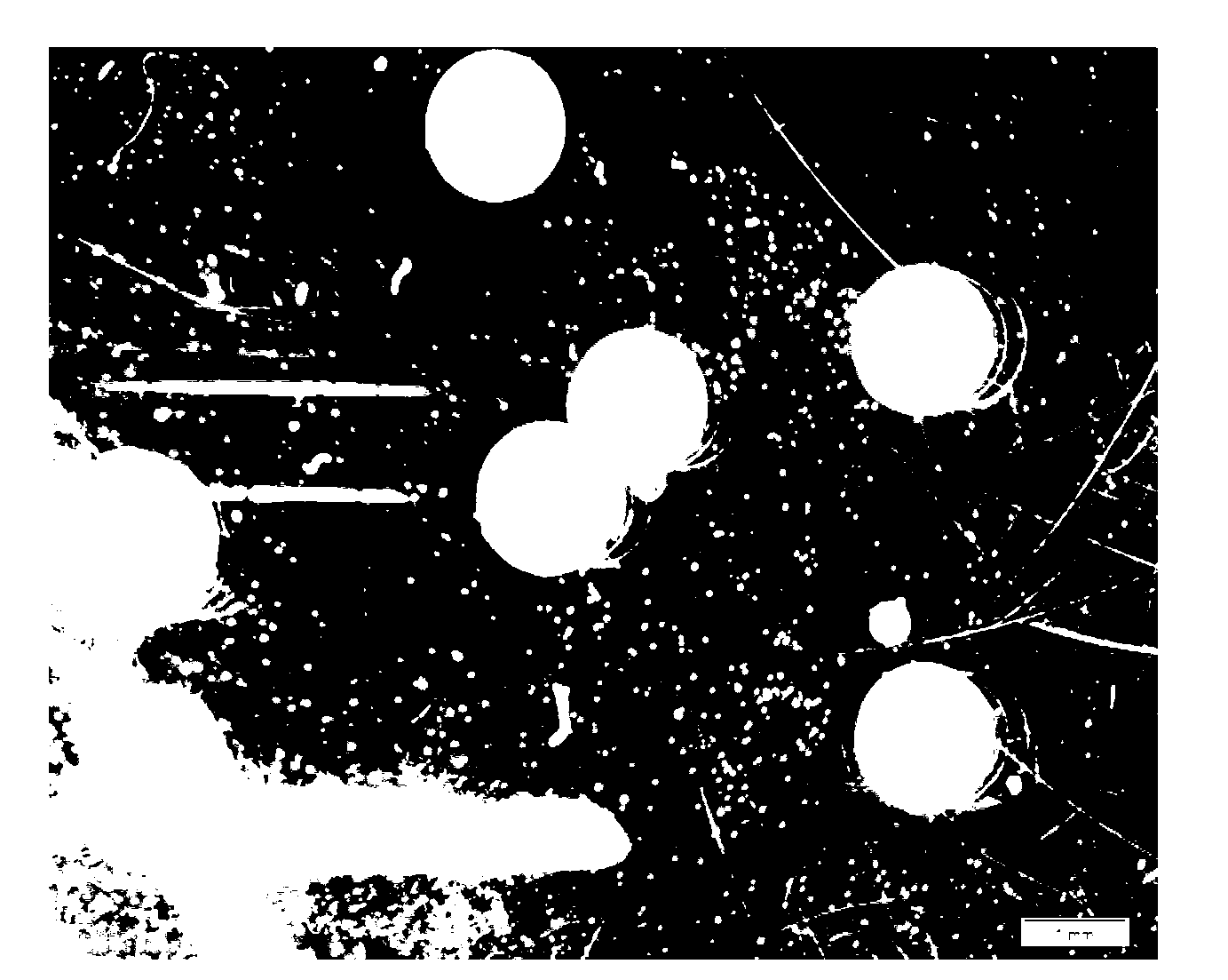 Sodium alginate containing high molecular weight polyguluronic acid and application thereof