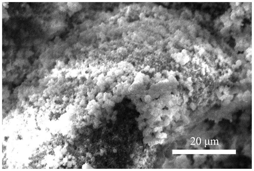 Preparation method of nitrogen and sulfur co-doped graphene oxide grafted polyaniline/MoS2 electrode