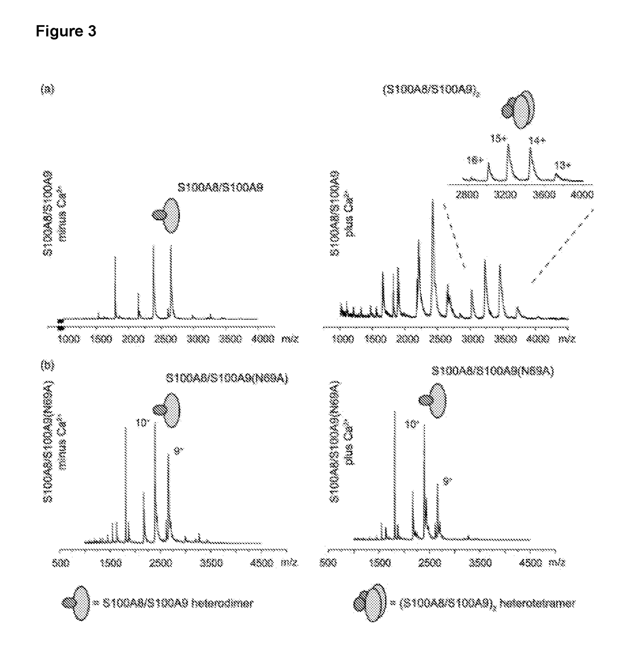 Compounds and methods for the detection of calprotectin