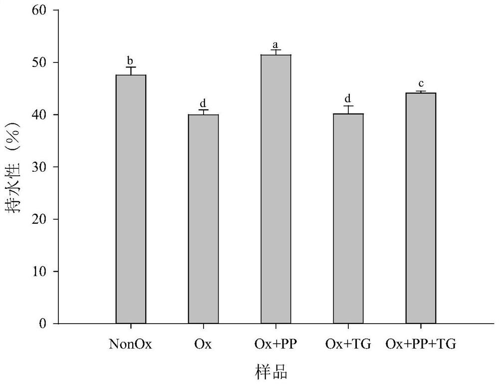 Method for repairing performance of oxidative damage protein gel based on PP-TGase