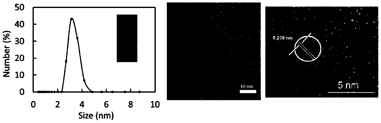 A tumor microenvironment-responsive nanoparticle based on peptide dendrimer modified fluorescent carbon dots and its preparation method