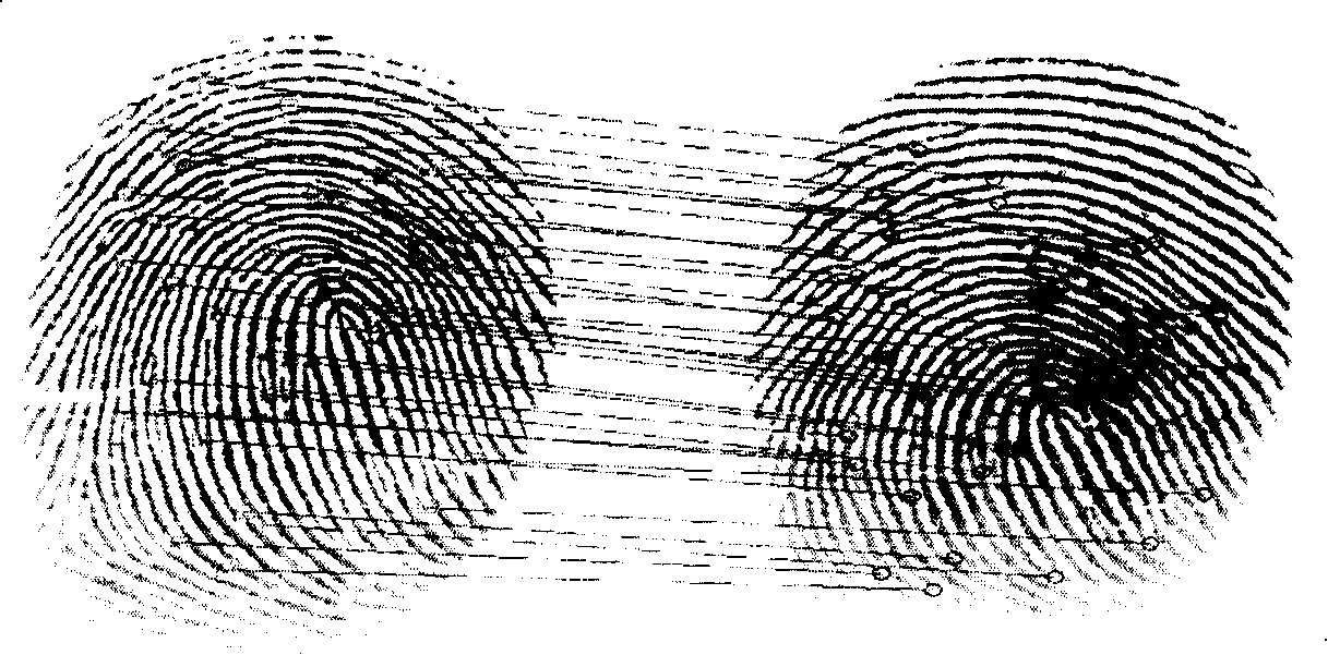 Method for detecting living body fingerprint based on thin plate spline deformation model