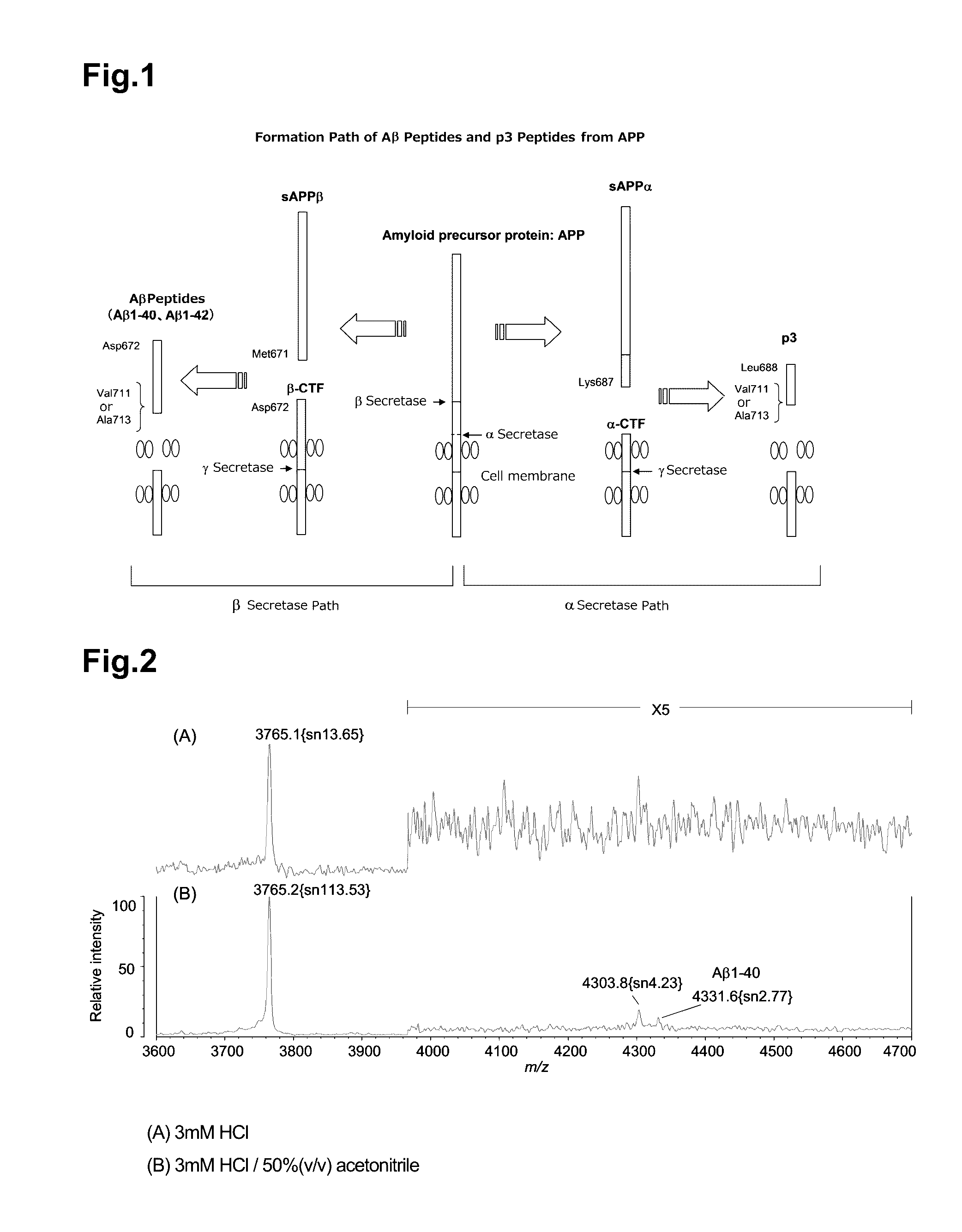 Measurement method for app cleavage peptides