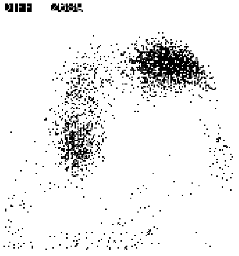 Method for automatically classifying particles