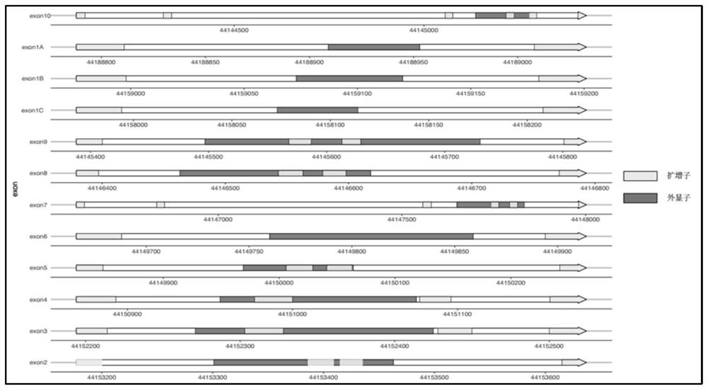 Method and kit for detecting gck-mody gene mutation