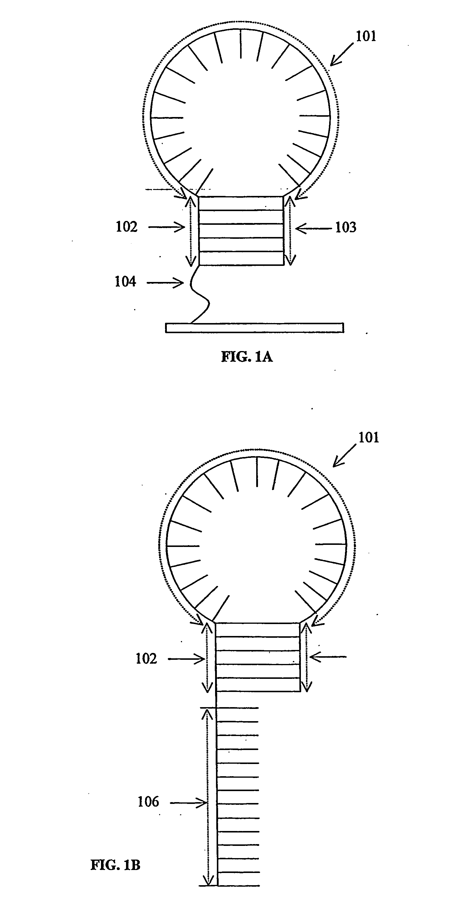 Probe biochips and methods for use thereof