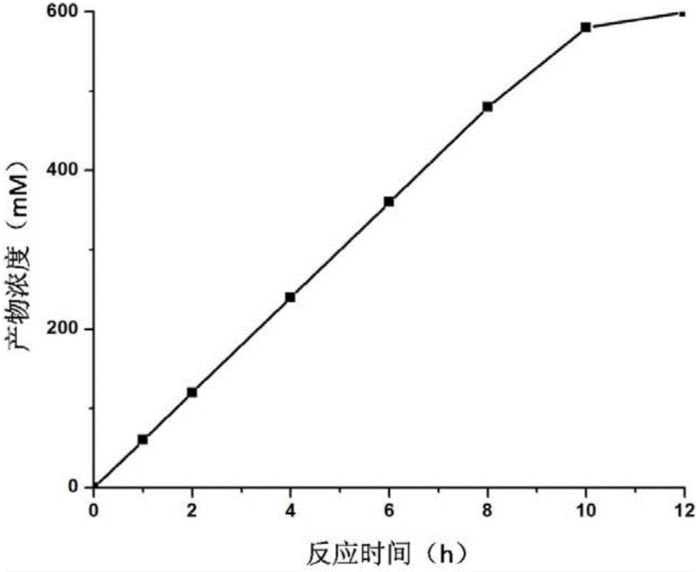 Biological synthesis method of (R)-o-chloromandelic acid