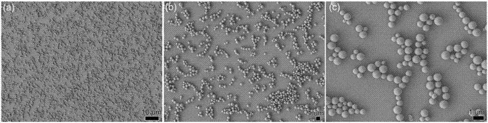 Method for preparing controlled-release nano-pesticide preparation