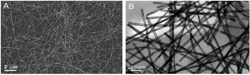 Gold nanotube based flexible stretchable electrode and preparation method and application thereof