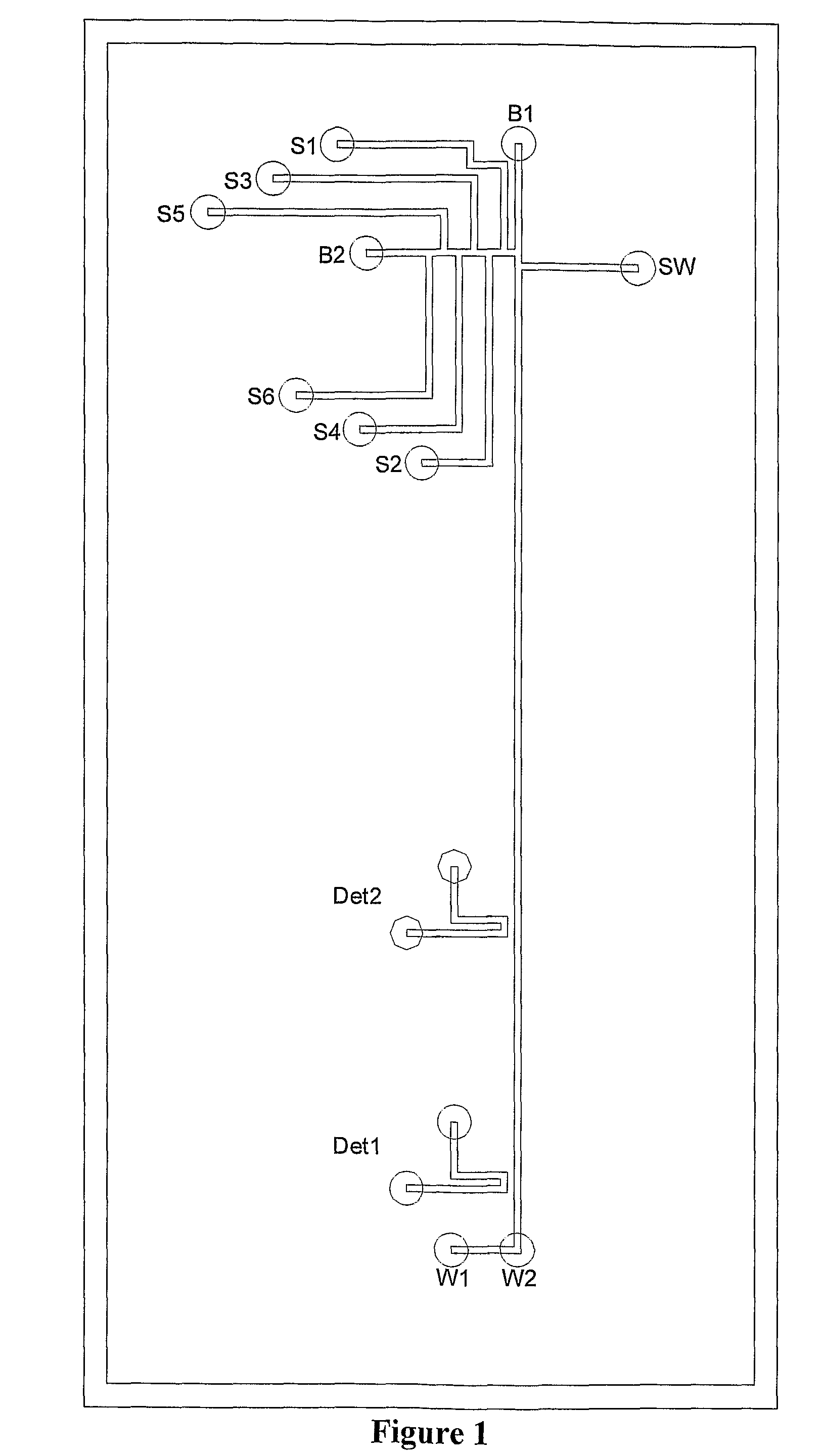 Multi-channel capillary electrophoresis microchips and uses thereof