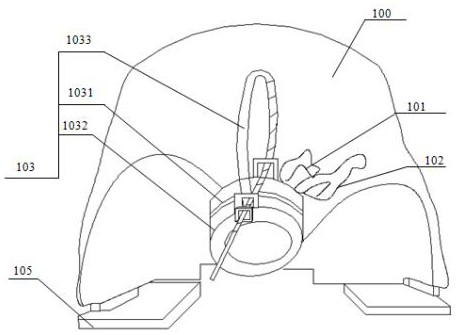 An anatomical model for neuroendoscopic surgery