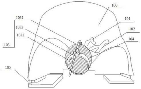 An anatomical model for neuroendoscopic surgery