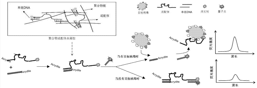 Smart hydrogel-based fluorescent aptasensor for detection of avian influenza virus