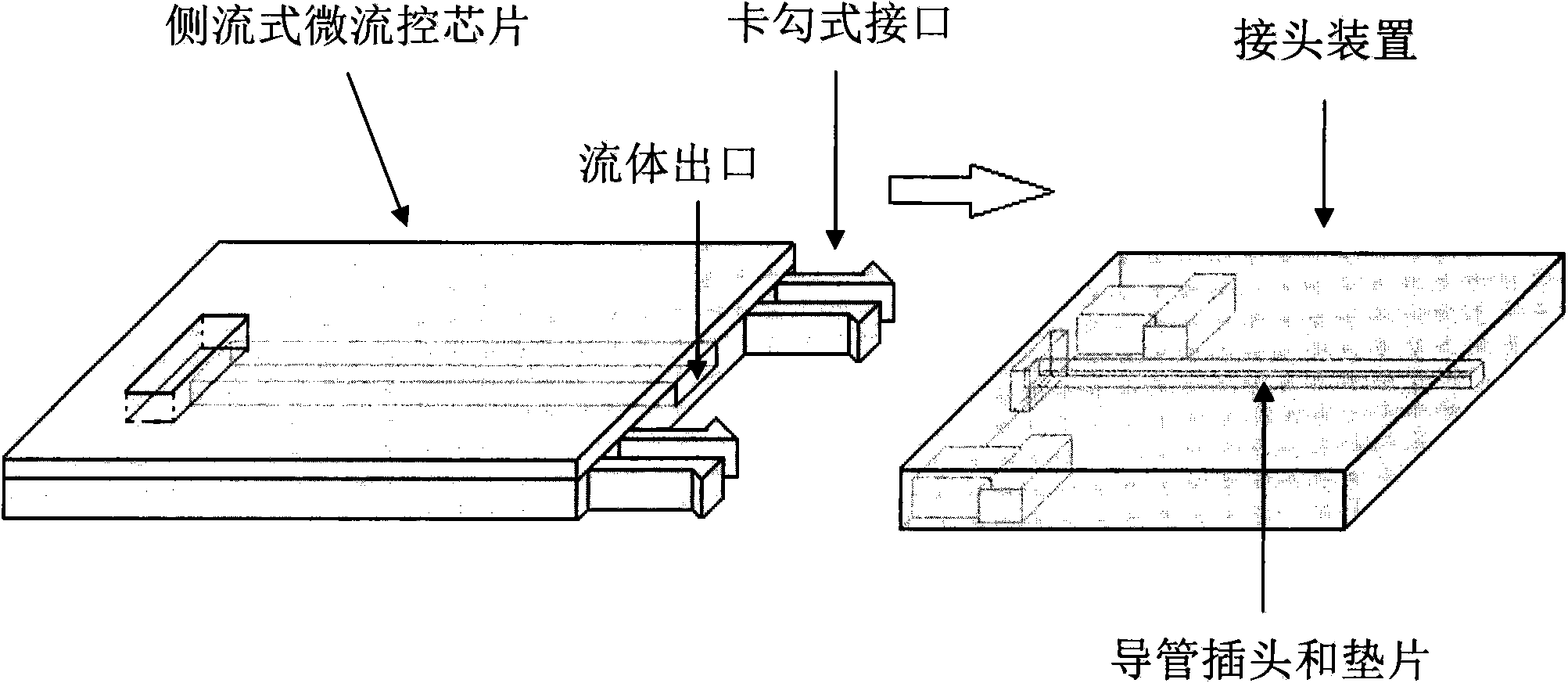 Lateral flow chip and its joint device