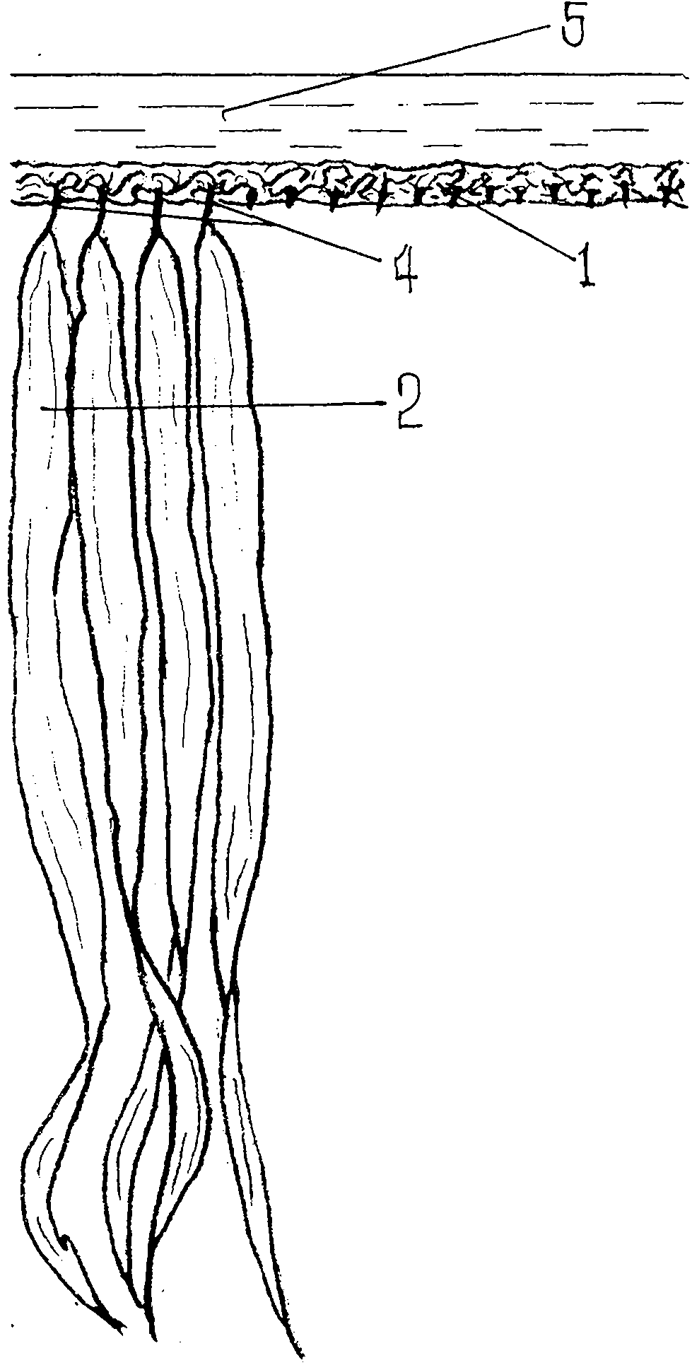 Machine for scraping kelp roots on seedling rope