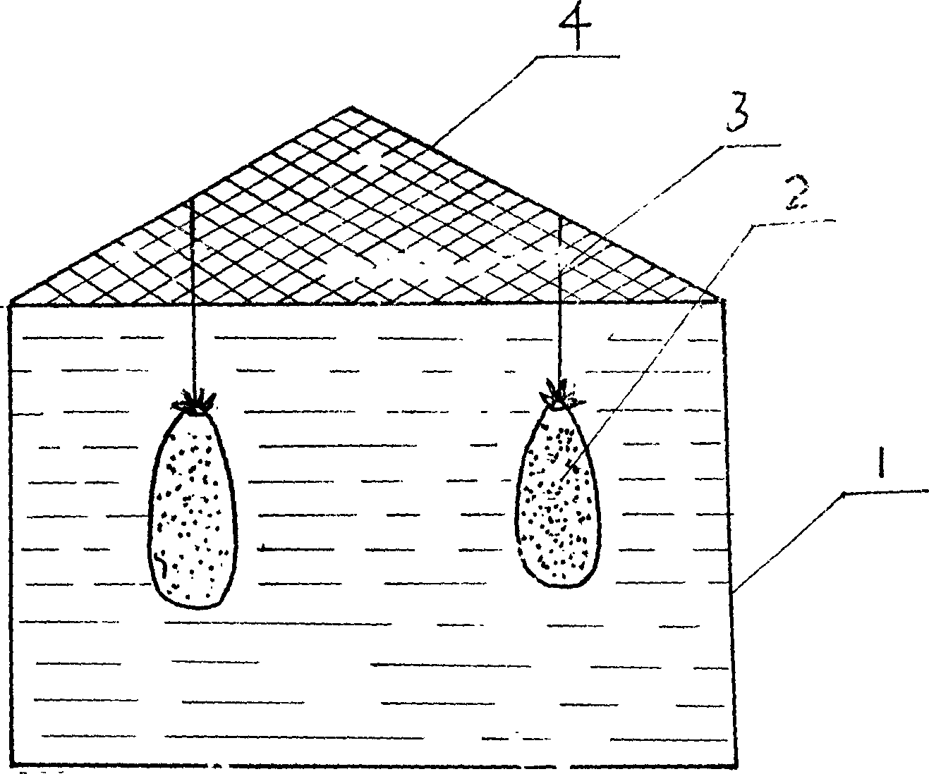 Filter fish feed and farming method