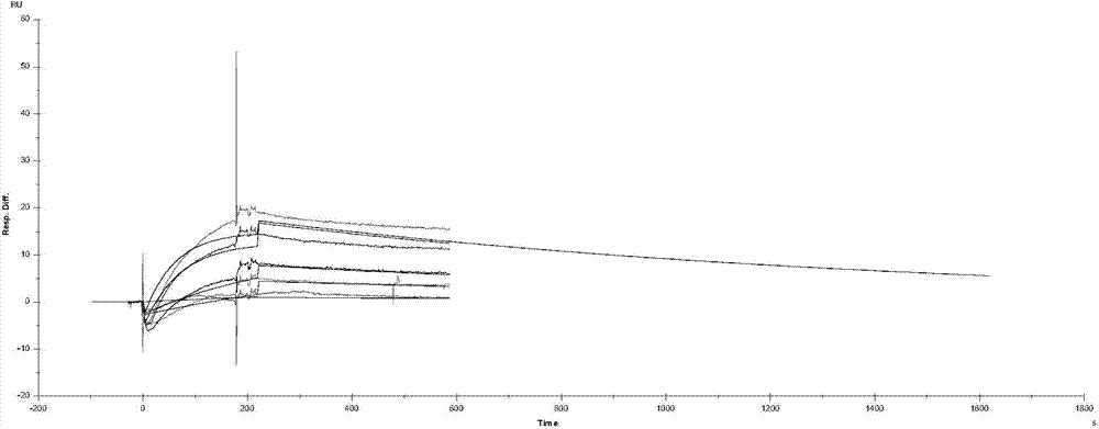 Anti-hepatitis b virus X protein polypeptide drug