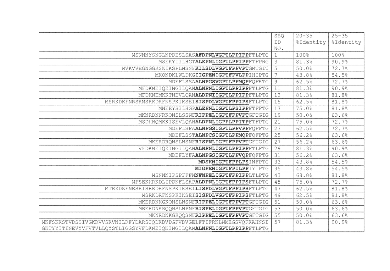 Fusion proteins, recombinant bacteria, and exosporium fragments for animal health and aquaculture